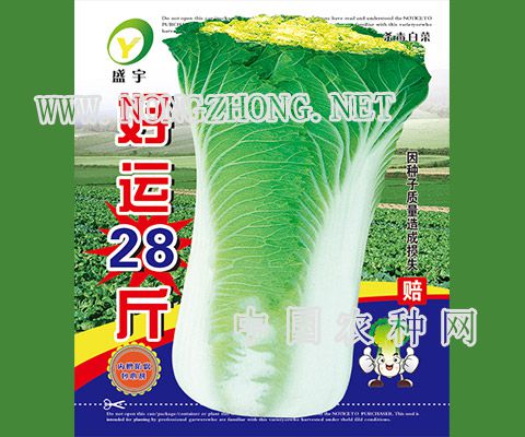 好运28斤